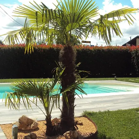 Springs Loft Candelo